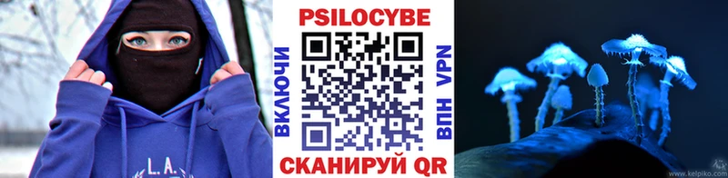Купить закладки  Славянск-на-Кубани  Галлюциногенные грибы GOLDEN TEACHER 